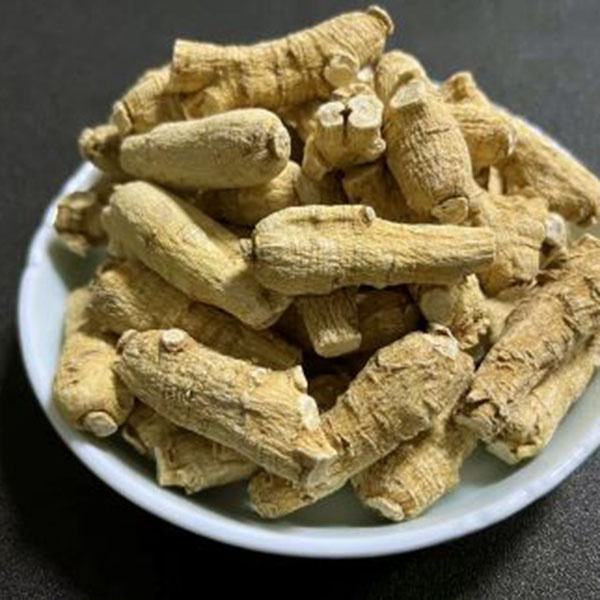 西洋參10克短枝
