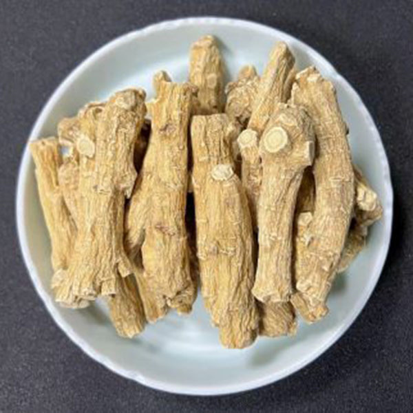 西洋參15克中枝