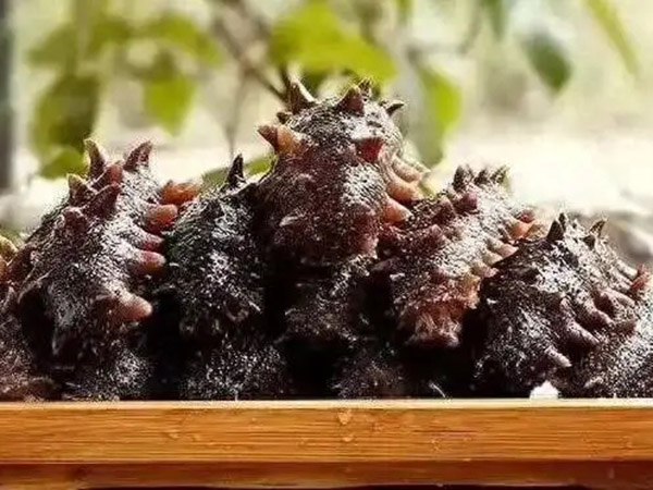 食用海參有哪些注意事項(xiàng)？
